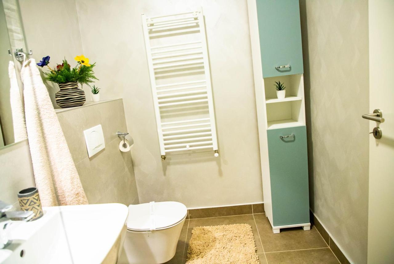 Dream Place Coresi Apartment